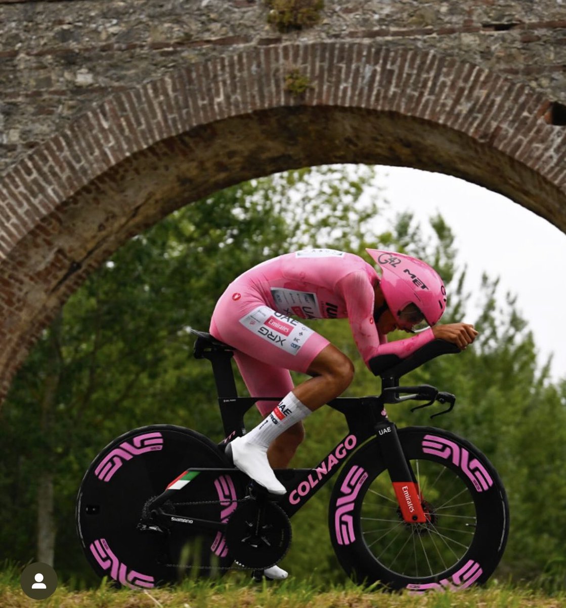 Rosa mexicano…
Simplemente, espectacular…