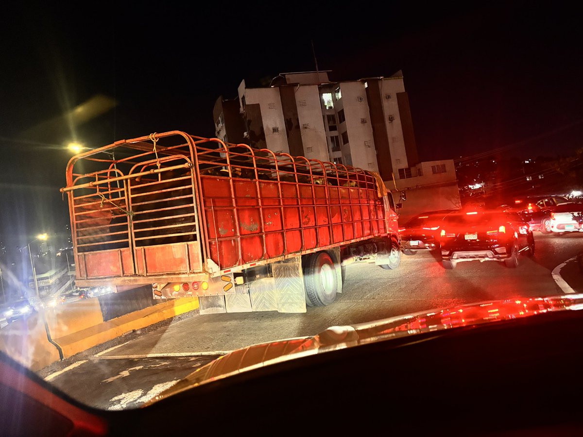 Ingrid2411's tweet photo. ¿De verdad tenemos que ver esto a las 7:00 p.m. en Tumba Muerto?
Un camión lleno de vacas, estresadas, atrapadas en el tranque, camino al matadero… ¿No hay normas? ¿No hay humanidad? Se viola el de 229 de 2018

Esto no es solo insensible, es inseguro. Y tristemente común. https://t.co/wLFXCXCZ2y