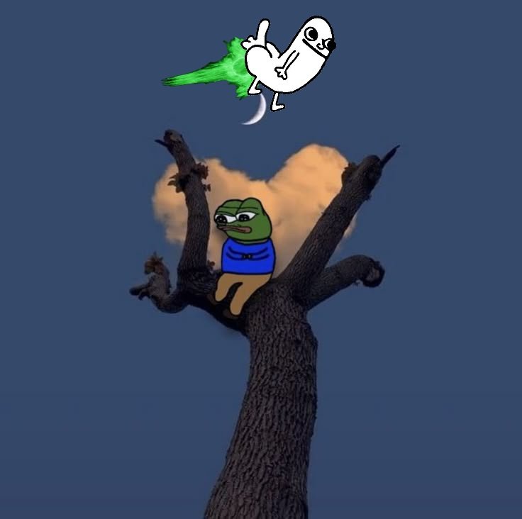 DurkeyTurkey (I WILL NEVER DM YOU FIRST) tweet media