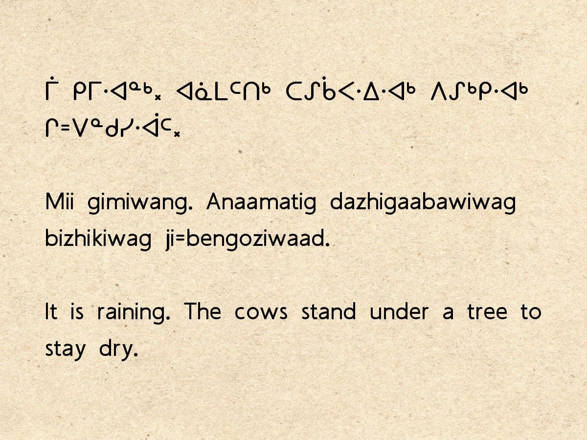 Animoshing tweet media