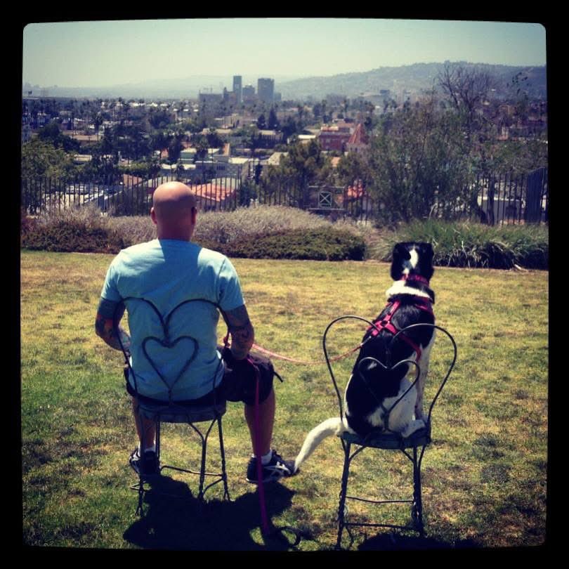 Happy #NationalDogRescueDay!