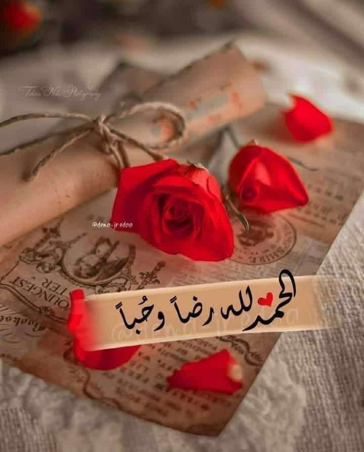 صباح الامتنان للون السماء ضوء الصباح زهر الشبابيك ولكلّ الأشياء التي من شأنها أن تمنحنا شعورًا أفضل🍃🩷

#صباحيات_سحاب
#الحمدلله_عدد_كل_شيء_وملء_كل_شيء