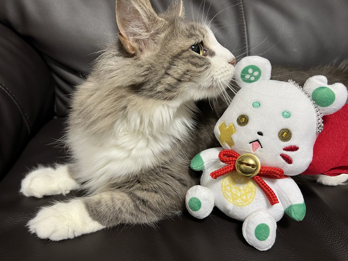 Post by 堀江瞬（ほりえしゅん） on X: またあんたなのね