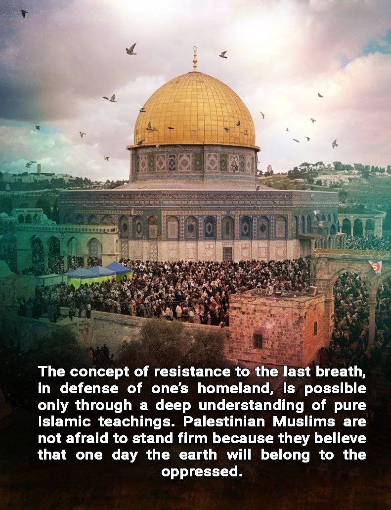nasimkhademi_71's tweet photo. @muftimenk The concept of resistance to the last breath, in defense of one’s homeland, is possible only through a deep understanding of pure Islamic teachings. Palestinian Muslims are not afraid to stand firm because they believe that one day the earth will belong to the oppressed. https://t.co/YE4aAitssQ