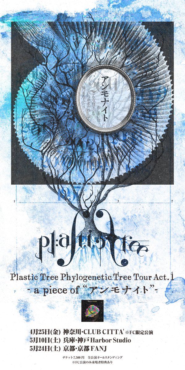 本日！
#PlasticTree Phylogenetic Tree Tour Act.1
-a piece of “アンモナイト”-

⏰OPEN16:00／START17:00
📍[京都] 京都FANJ
🎟️当日券￥8,050
🥤ドリンク代￥600

plastic-tree.com/various/news/?…

⚠️ファンクラブ・モバイル会員先行購入特典「公演キービジュアルチケット」は入場時配布
