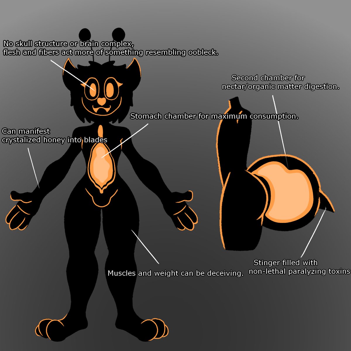 Decided to update my bee butt again, now with more in-depth looks into his inner workings and other silly things/details about him being weird from every possible angle.