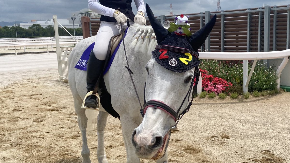 本日22才のバースデー🎂誘導馬 #ストラディバリオ 号🎂可愛いケーキを