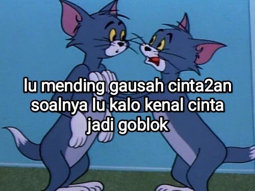 el (@halupulisi) on Twitter photo 