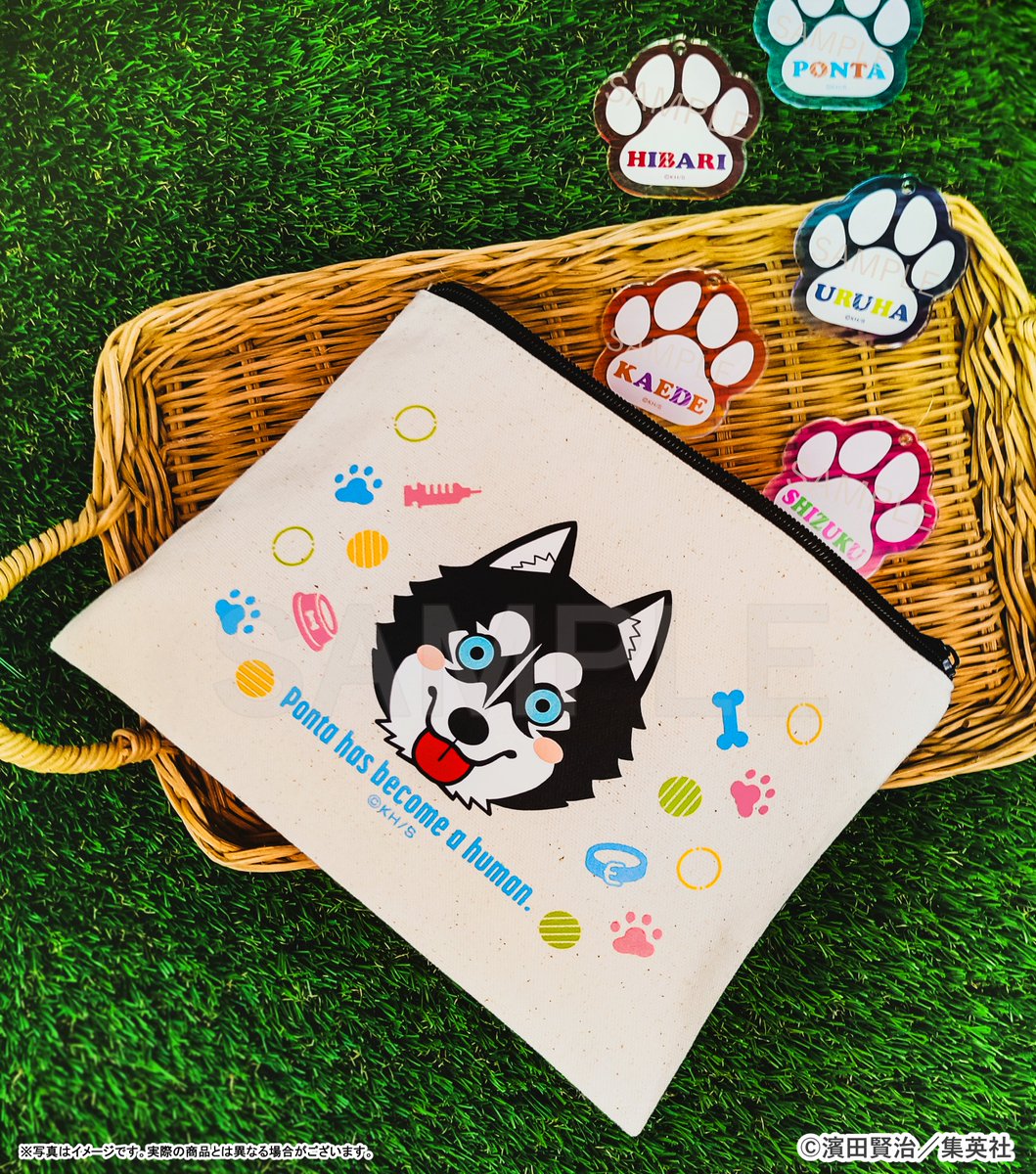 ポン太さま専用 ポン太さま専用 ポン太さま 専用！ ごんたさま専用 ひーたんさま専用