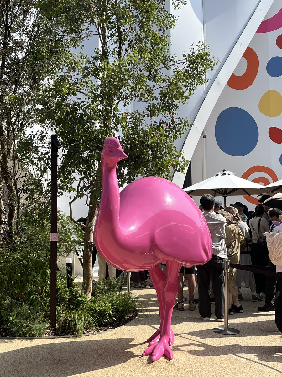 万博のオーストラリア館の天井に、南十字星映るんだけど、その上の鳥は