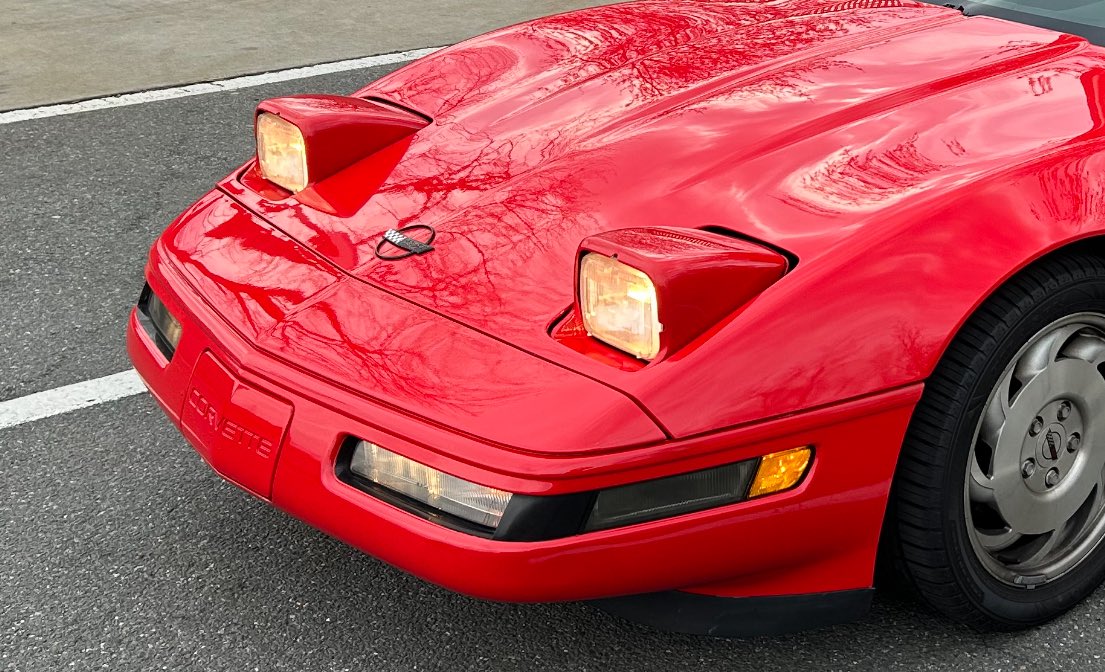 Shep🖌🐾 tweet media