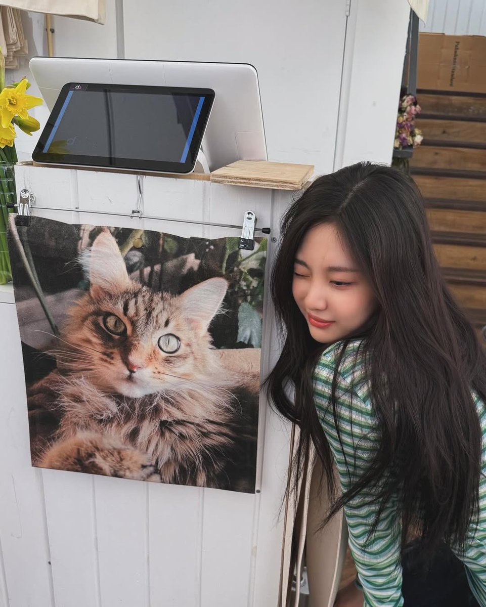 DMNING02's tweet image. idk what it is but green + artsy vibe got me feelin like that girl today ☘️