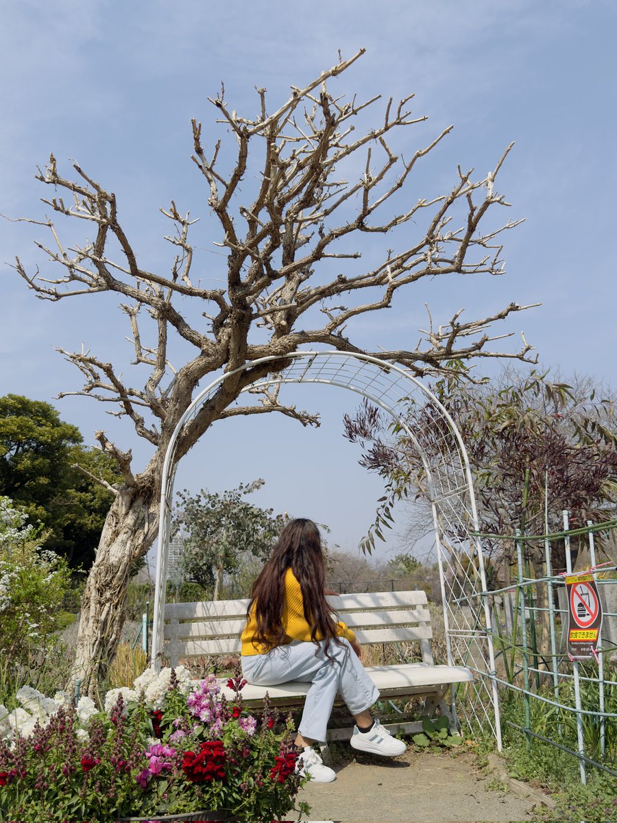 तिमीलाई कुर्दै 😘