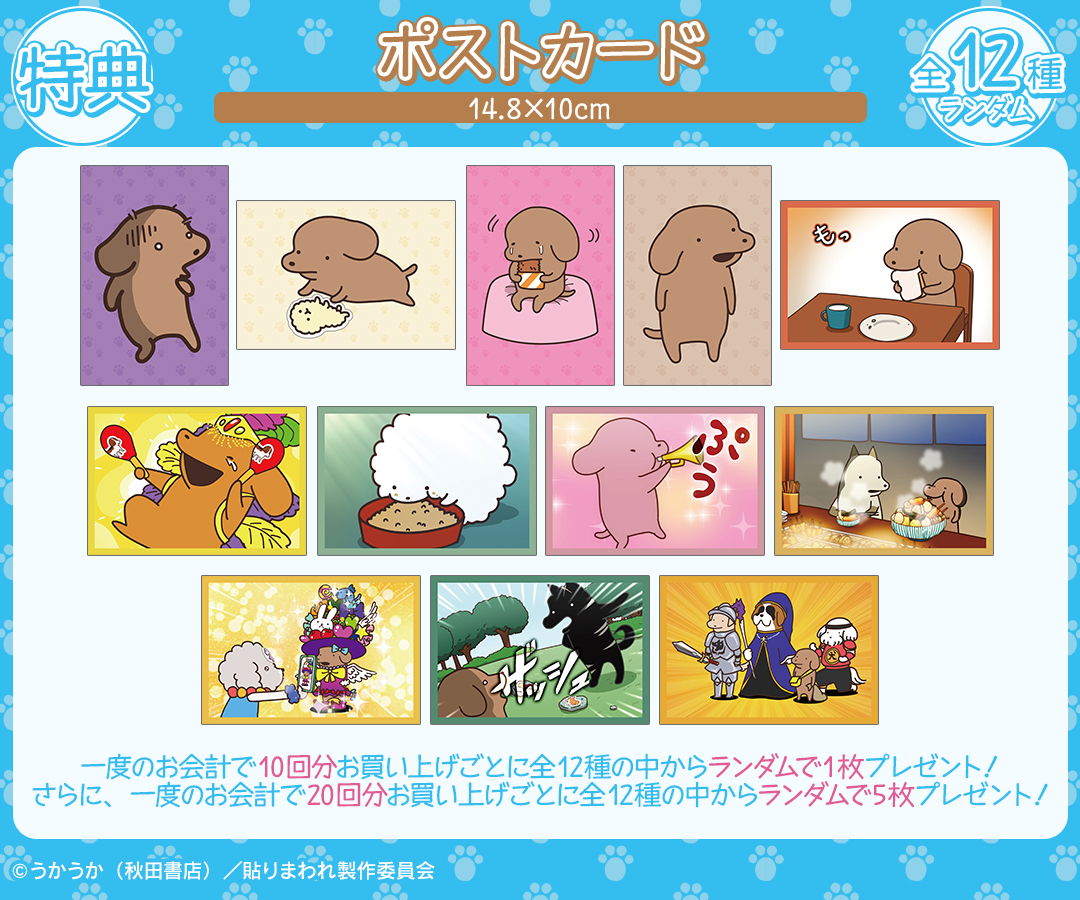 DRAW!DRAW! -ドロー!ドロー!- 公式 tweet media