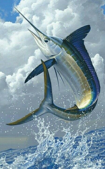 SSana0ria's tweet photo. @hourly_shitpost https://t.co/QlNIdbleOQ