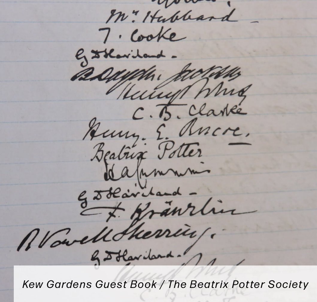 On 20 May of 1896 Beatrix Potter visited Royal Botanic Gardens, Kew, with her uncle, Sir Henry Roscoe. She showed her fungus drawings to Director, W. Thiselton-Dyer. They wrote their names in the guest book at Kew Gardens. 
#kewgardens #kewgardenslondon