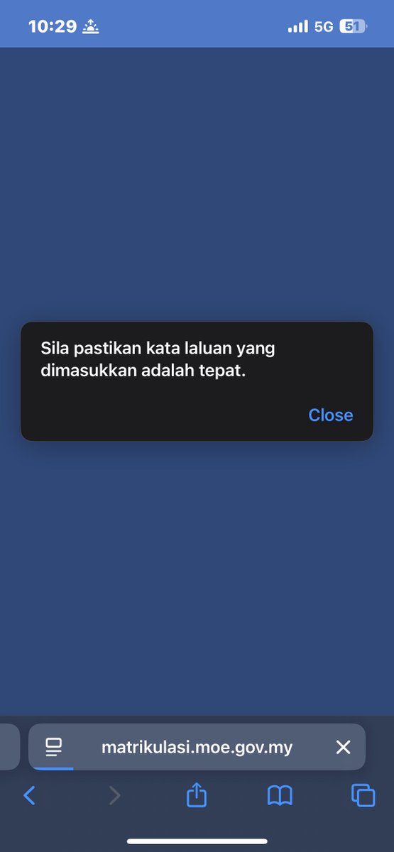 yana 🤓 inactive tweet media