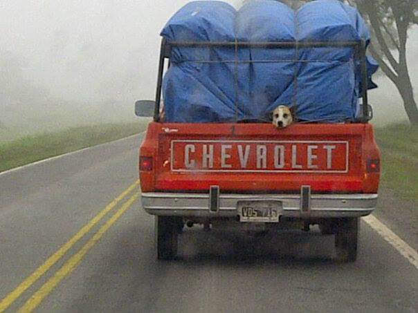 Disfrutando el viaje