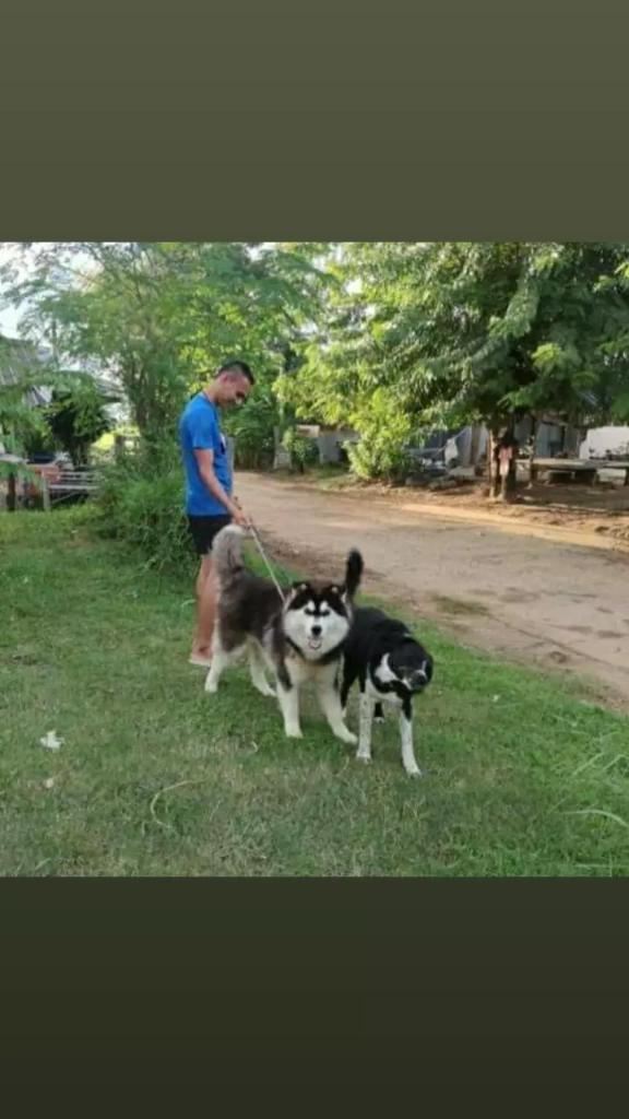 วันว่างของผม