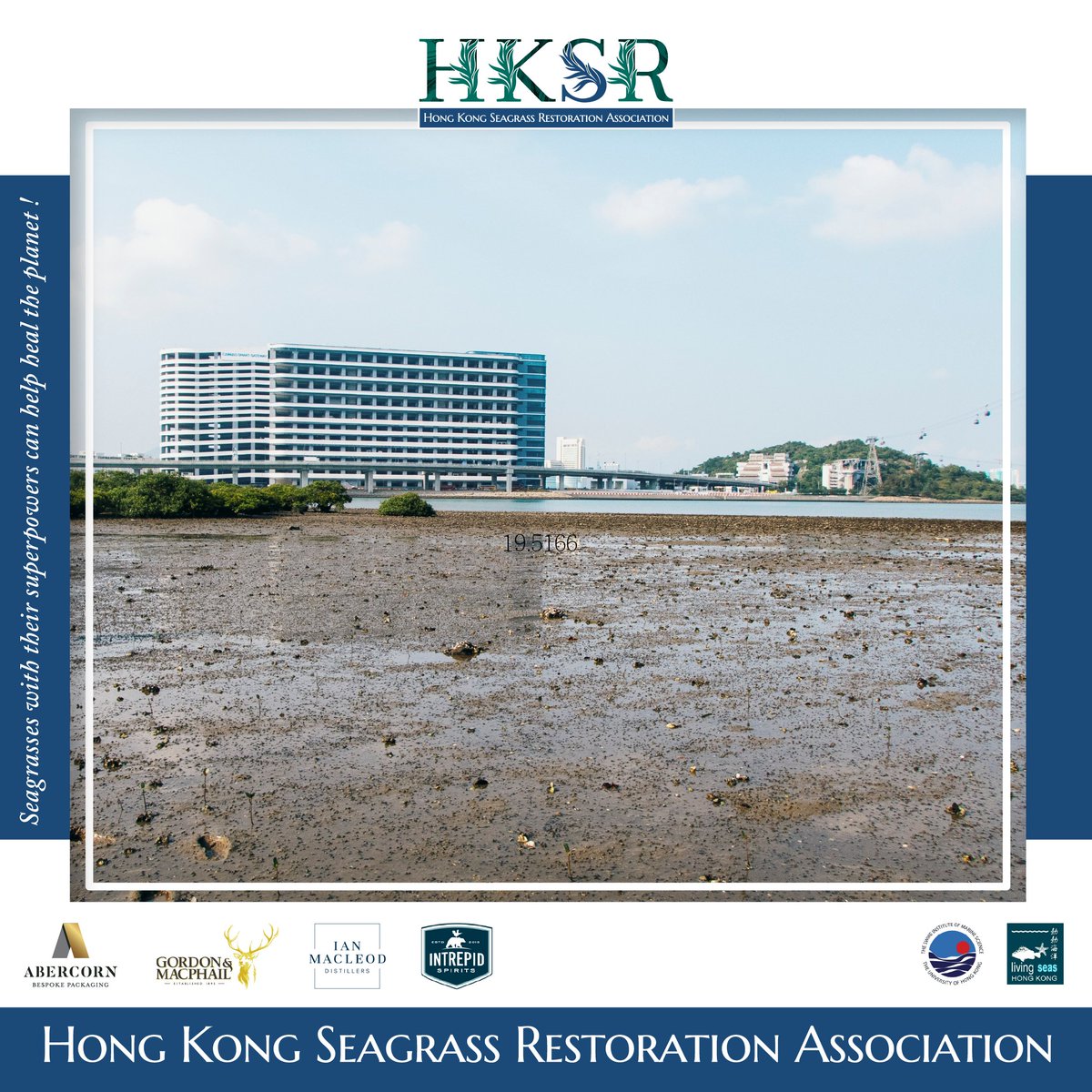 The HKSRA team conducting seagrass surveys around HK.

Want to know more about Seagrass?
Go &amp; Check it out！
📷hongkongseagrass.com
#HKSR #Seagrass #survey