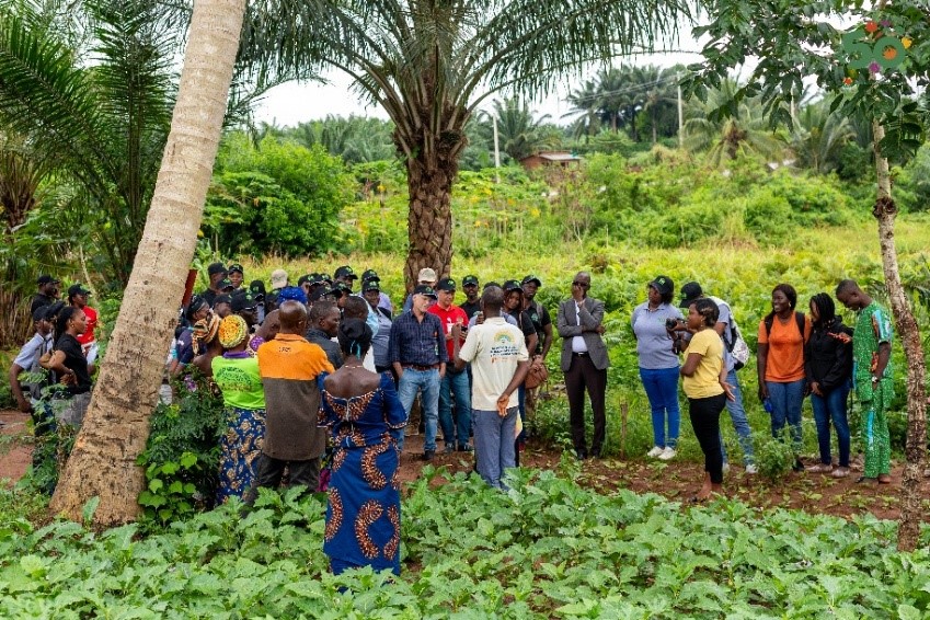 WorldVeg’s vegetable business networks boost jobs &amp; income for women &amp; youth in West Africa. Through SafeVeg, 200+ networks in Benin, Burkina Faso &amp; Mali empower members via coaching, training &amp; better market access.

Ream more: avrdc.org/vegetable-busi…