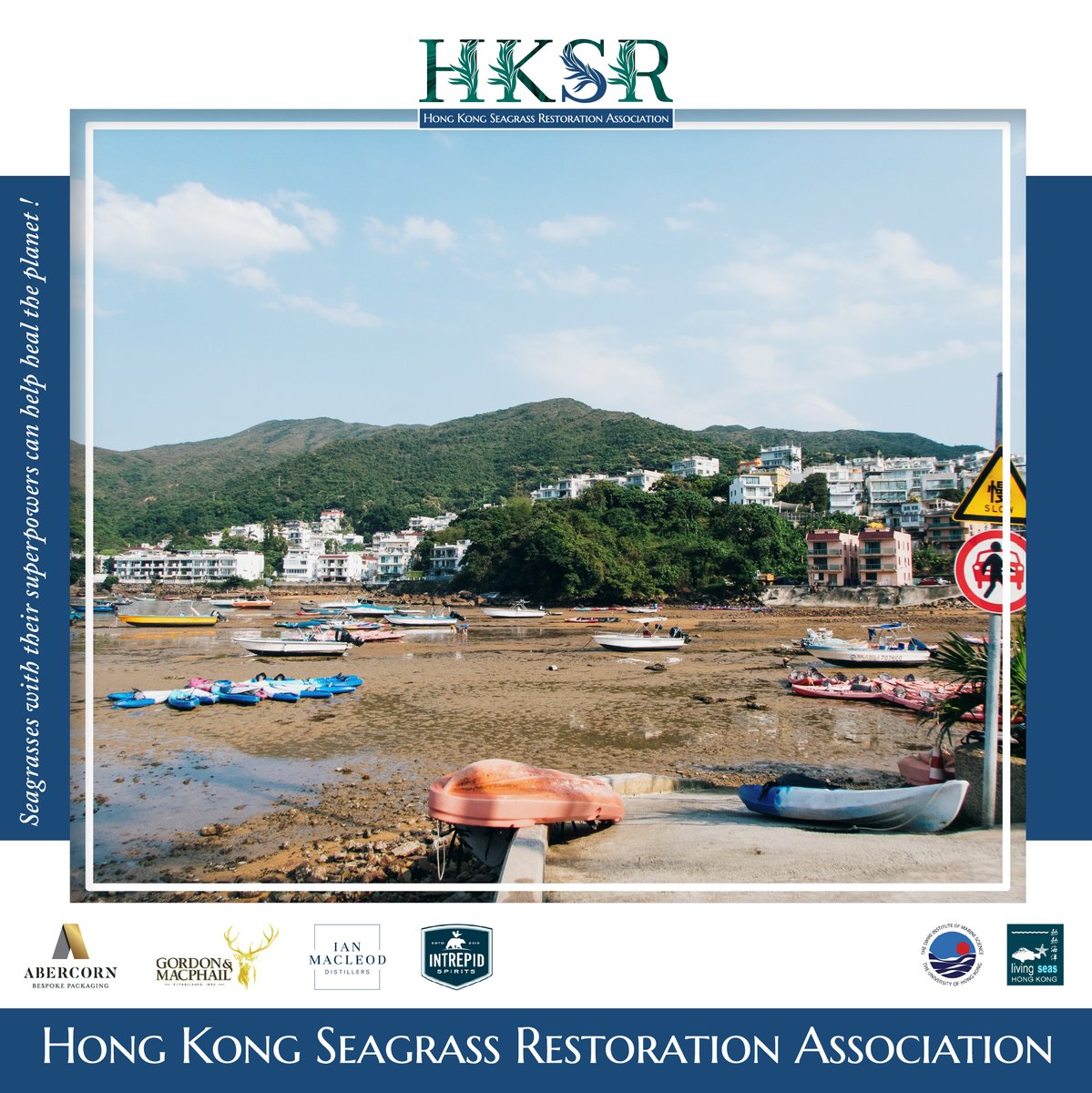 The HKSRA team conducting seagrass surveys around HK.

Want to know more about Seagrass?
Go &amp; Check it out！
📷hongkongseagrass.com
#HKSR #Seagrass #survey