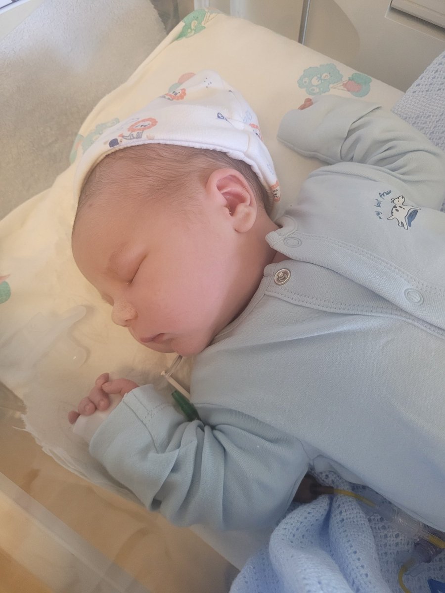DiamondAnthony's tweet image. It's been a crazy few weeks, I still can't believe I am a father. 

Hopefully, he will reap the rewards of my investment in crypto. 😁