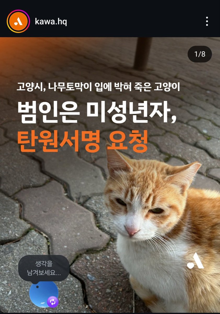 미성년자가 사람 잘따르는 고양이를 구타한후 입안에 나무가지를 관통시켜 죽였습니다 미성년자라는 이유로 처벌을 안받는일이 없도록 탄원서 부탁드려요
docs.google.com/forms/d/e/1FAI…