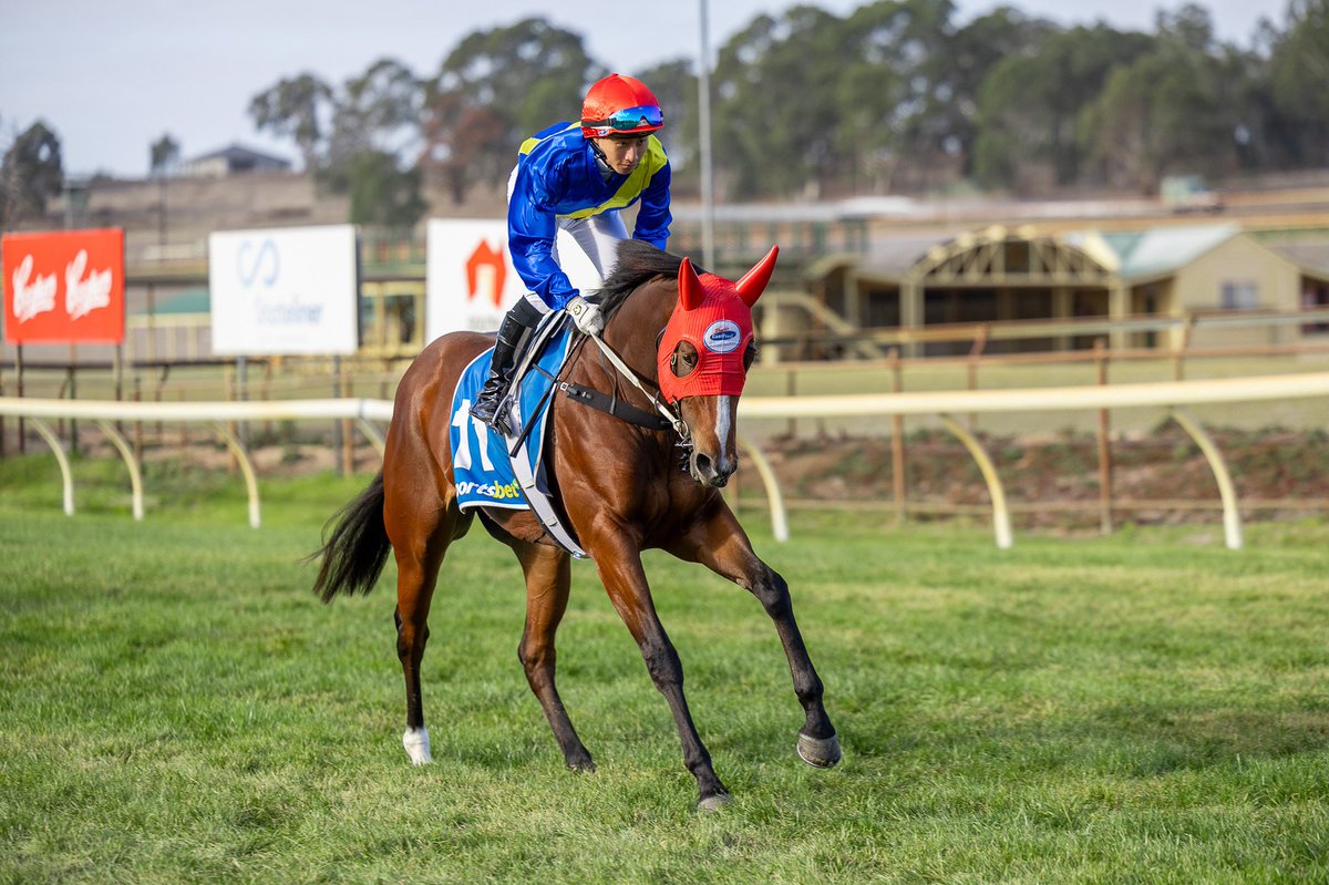 Balaklava | May 21

So Immaculate is our only representative today, she was a winner at her first start for the stable over 1100m. She will have the services of Ben Price after disappointing last time.

Good luck to her connections.