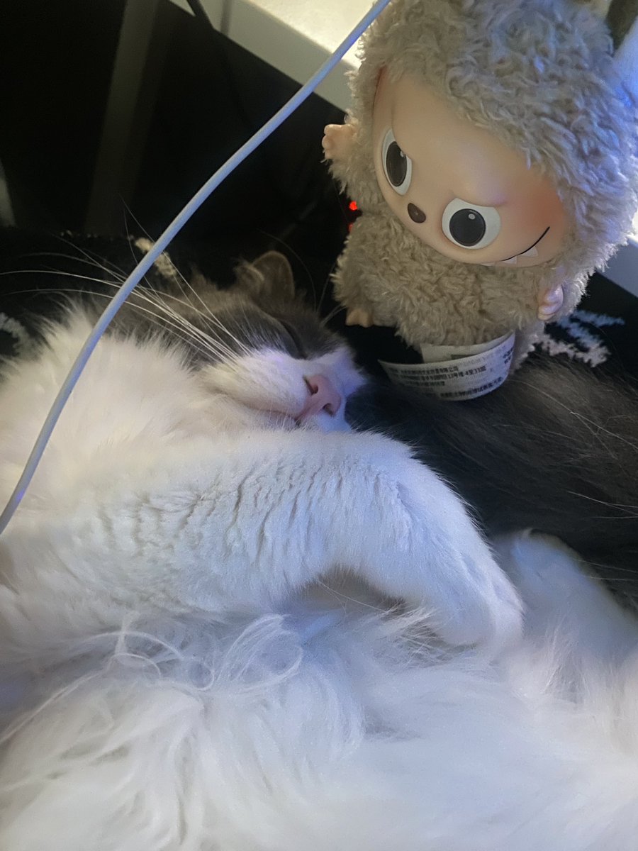Labubu Bson watch Moon sleep