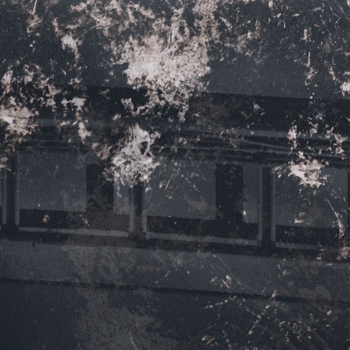 【New】
賽  ライブ音源を本日5/21リリース！
昨年9/29に渋谷WWWで行われたライブからILaとVebを収録
ぜひチェックしてください🔊

ssm.lnk.to/sai_shibuyawww