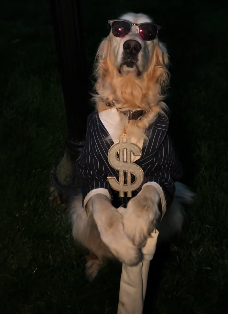 Plurpu's tweet image. Changes nothing #Wolvesin6