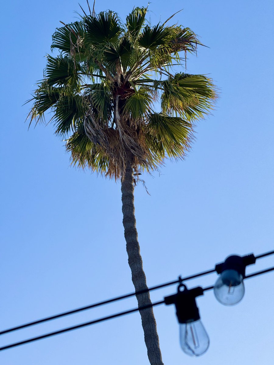 Post Sunset in Santa Monica