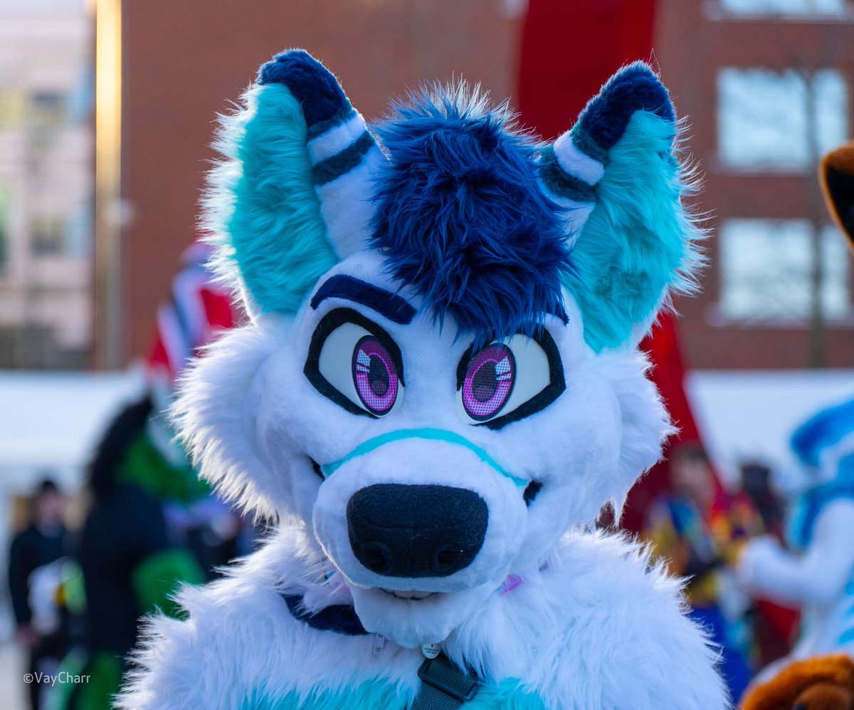 New #fursuit review:
[YES] Space the Arctic Wolf (Head, Bodysuit, Feet) by <a href="/Evi1Makers/">EvilMakers🏳️‍⚧️Commissions CLOSED</a>

Read it here:
fursuitreview.com/r/yes-space-th…