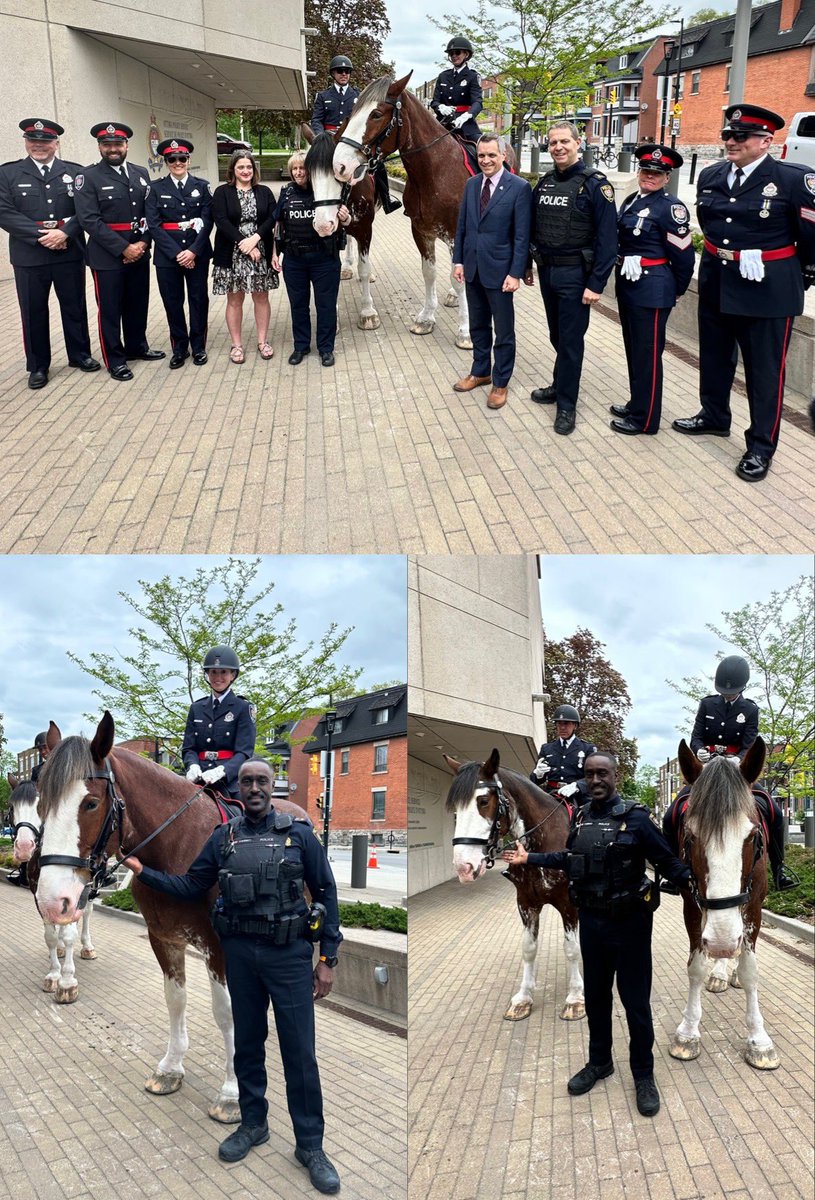 Introducing two of our newest members, Ripp and Will Power from our Mounted Unit. You will see the team of seven horses and five riders in our community soon. Welcome to the team. 🐴