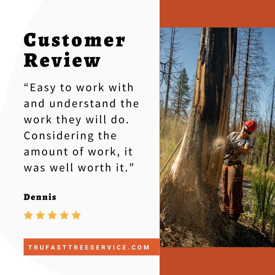 TrufastTree's tweet image. 5 stars! 👍🌳💪

#springfieldmo #417land #ozarkmo #417local #treeservice