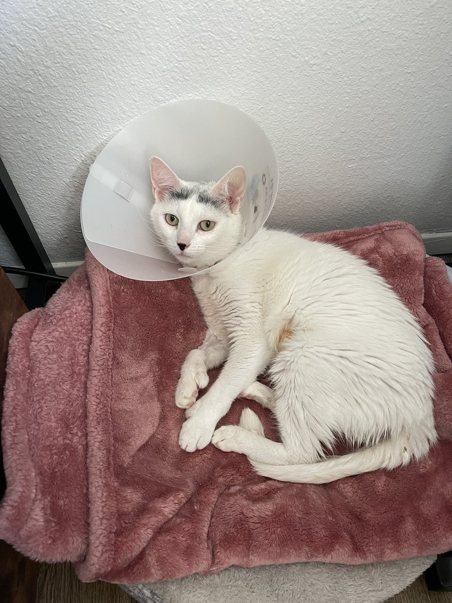 Jay Fiddy tweet media