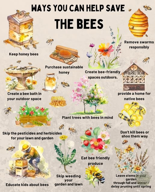 SubRosaMagick's tweet photo. #WorldBeeDay https://t.co/sYo7ThdwqF