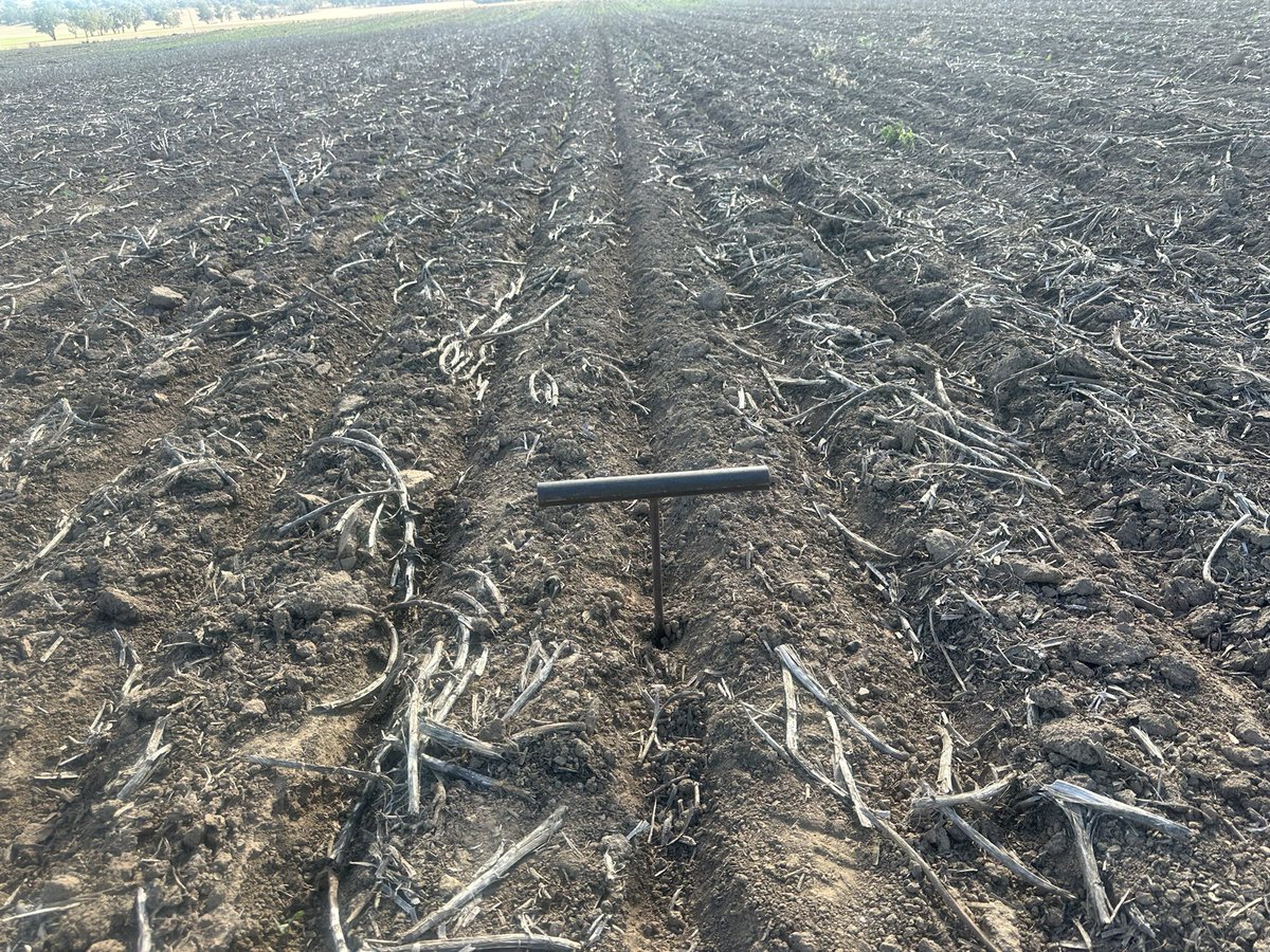 Growmore Agronomy Services tweet media