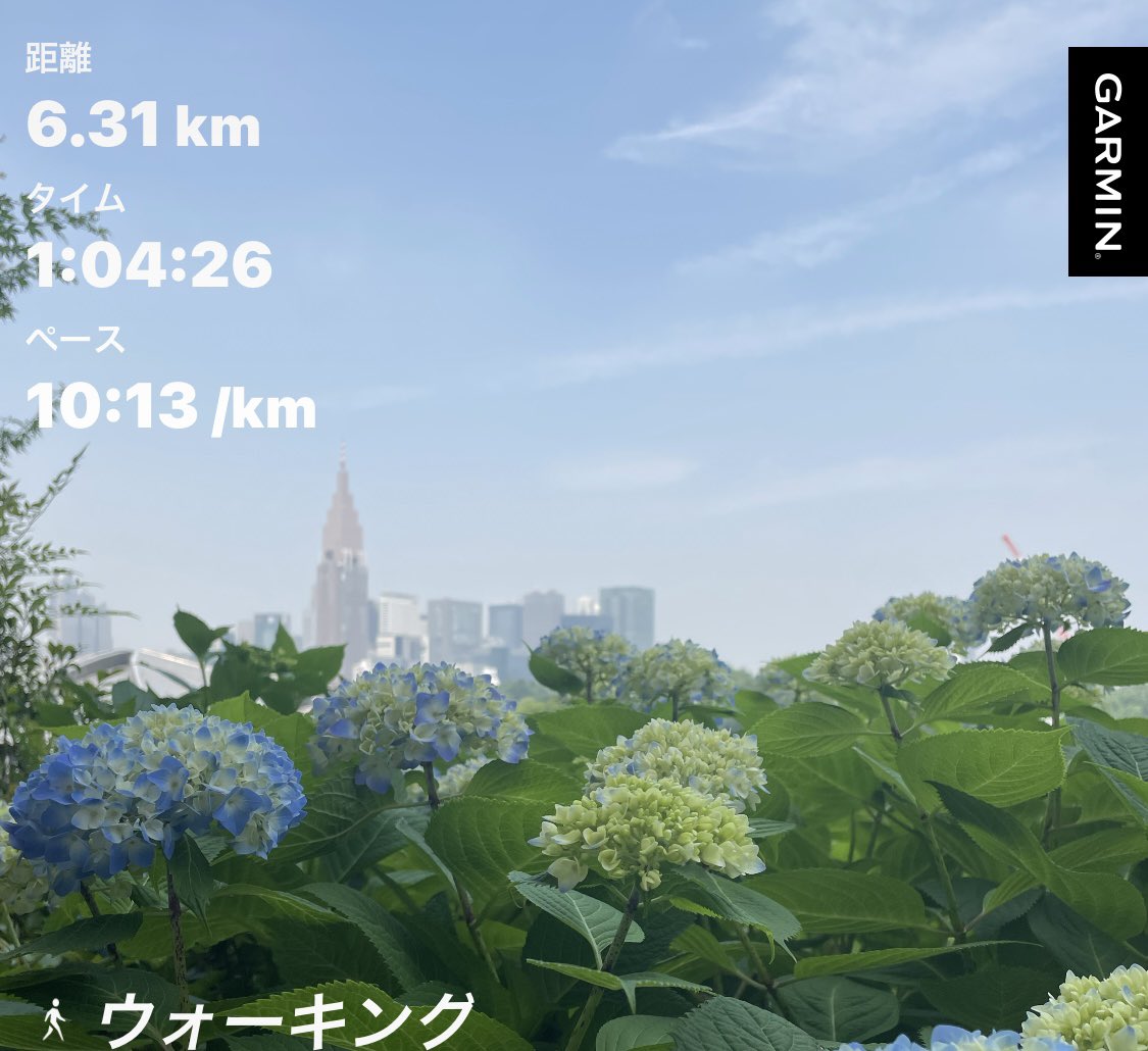 今日はウォーキングを60分🚶ラン休も4週目後半になりました。来週からラン再開予定です。