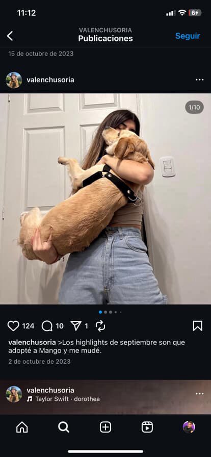 FiestaMacho's tweet image. URGENTE @somoslacasaok