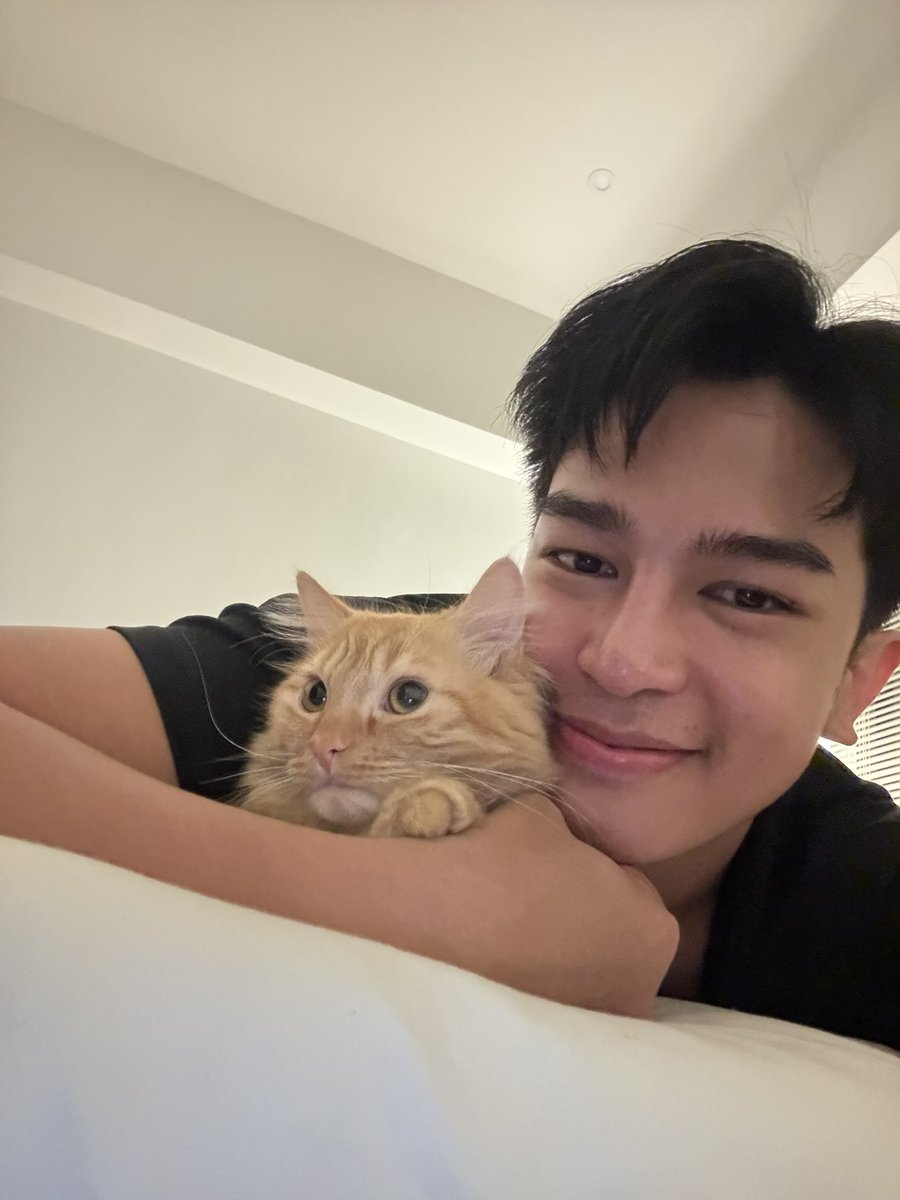 kennnnito's tweet photo. meow https://t.co/NLibsTGiA2