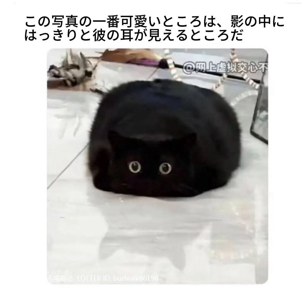 RhymossOfficial's tweet photo. 猫Lかわいすぎー🙏
#夜神月 #L #デスノート　#推し　#二次創作 https://t.co/9jVnWYA2c9