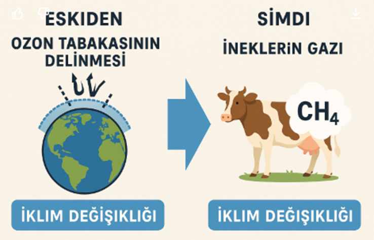 Bundan 40-50 sene evvel her türlü melânetin altında ozon tabakasının delinmesi aranırdı.
Çok zaman geçmedi, ozon tabakası unutuldu.
Ne oldu?
Şimdilerde hedefte ineklerin çıkardığı gazlar var; inekler günah keçisi yapıldı.
Peki, ya yarın?