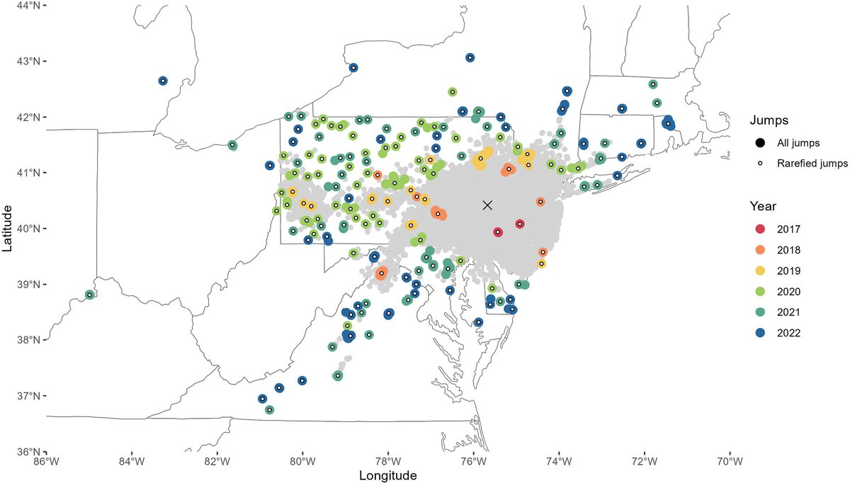 A new R package, jumpID, distinguishes long-distance jump dispersal from diffusive spread in #invasivespecies using occurrence data. Its application to the spotted lanternfly in the U.S. identified 152 such jumps from 2014–2022.

🔗 doi.org/10.3897/neobio…