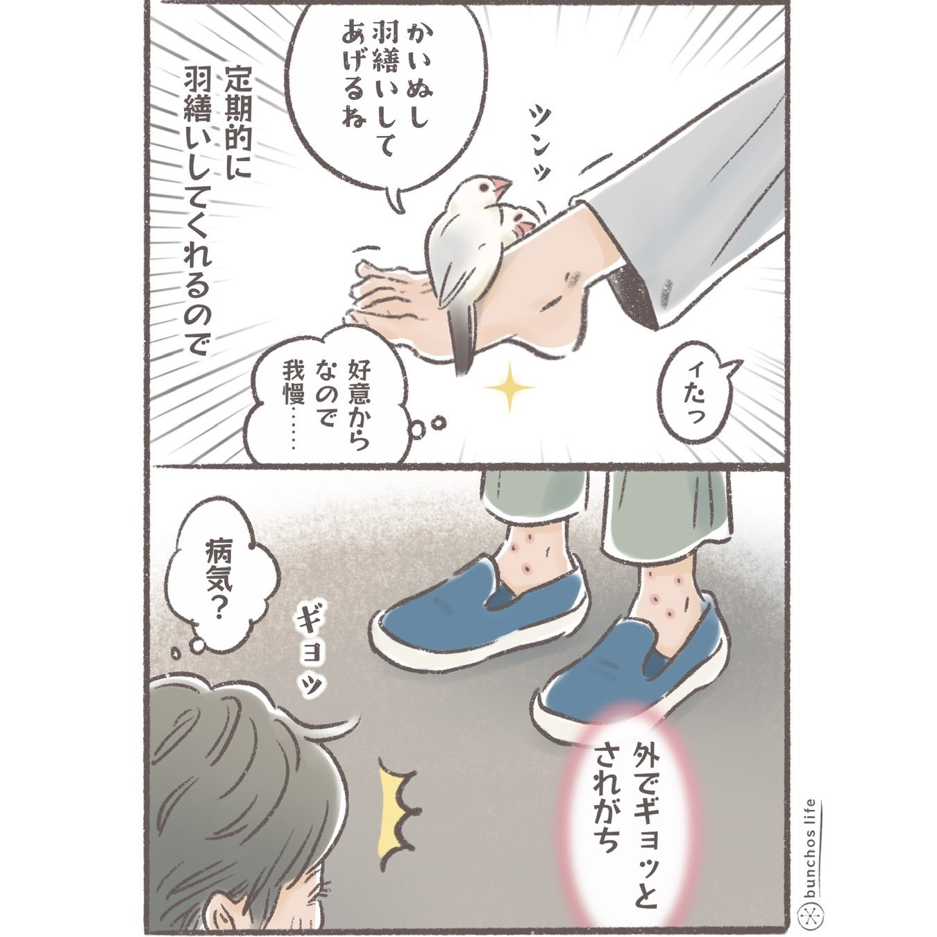 ふるさと納税 こむぎ🕊️ (@komugi_chan55) / X アニメ/ゲーム