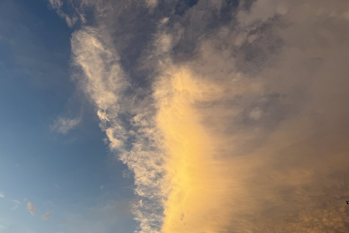 Sam Oldenburg tweet media