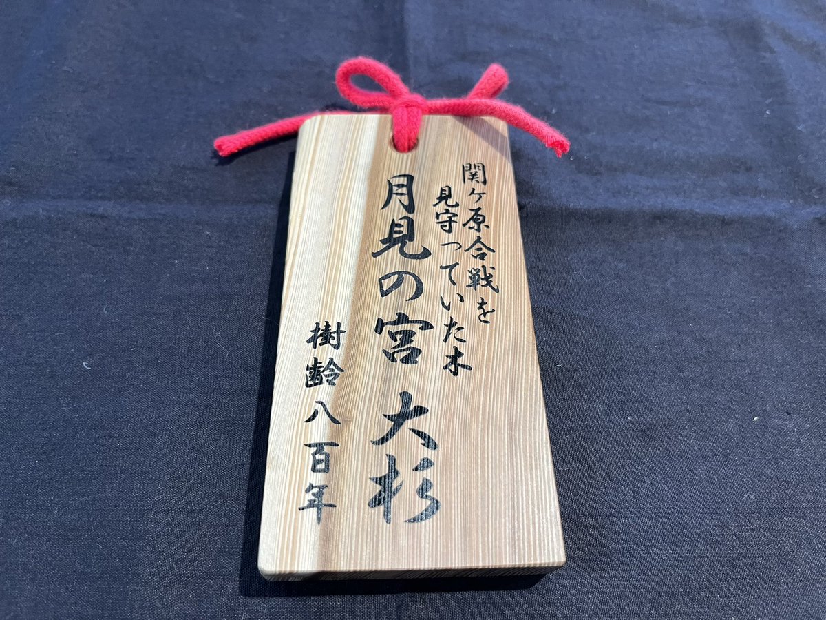 関ケ原合戦を見守っていた？！合戦図屏風にも描かれているとされている