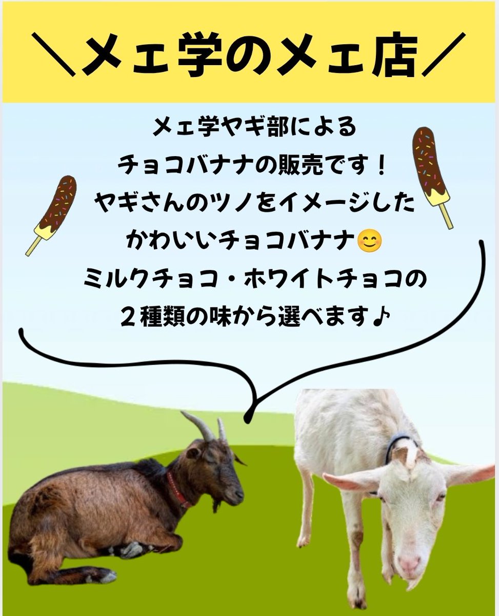 mg_eco_yagi's tweet photo. ヤギさんのつのチョコバナナ、いかがですか?
5月24日(土)、5月25日(日)に、横浜キャンパスにて開催される『戸塚まつり』に、
今年もヤギ部が出店します♪
出店時間⬇️
5月24日(土) 13:30~18:00
5月25日(日) 10:00~16:00
場所���️
横浜キャンパス 図書館向かいの休憩所の隣
#SDGoats #うメェーエコ除草 https://t.co/5UXgQYRiPo