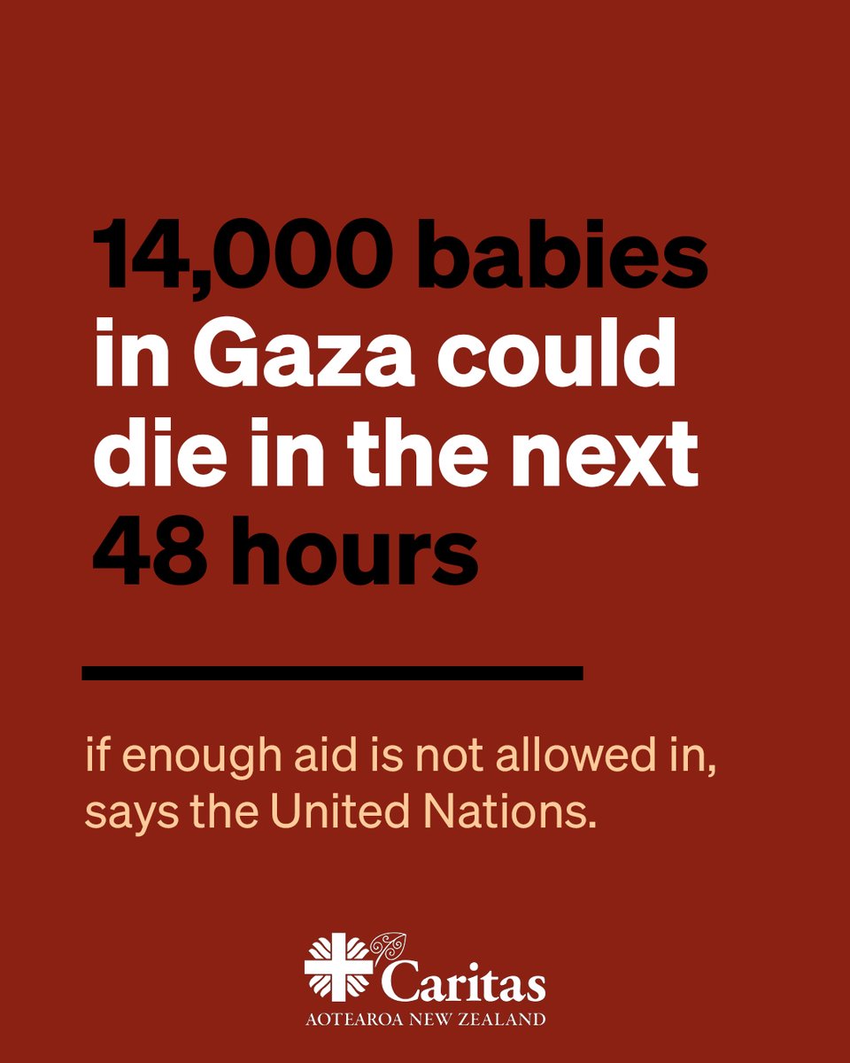 🔸930k children in Gaza are being starved.
🔸93% face critical famine risk. 14,000 babies could die in the next 48 hrs.
🚛We have aid ready to go, but trucks are blocked at the border.
⚠️Open the crossings. Let aid in. Every moment of delay costs lives.⚠️